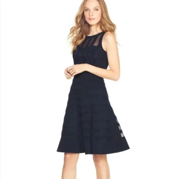 Banded Sheer Stripe fit and flare dress Black size 2 Black House White Market