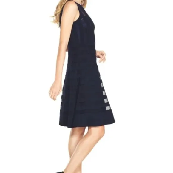 Banded Sheer Stripe fit and flare dress Black size 2 Black House White Market