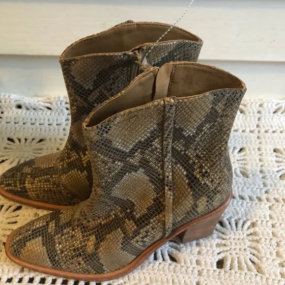 Free People In Tan Barclay Snake Print Ank…