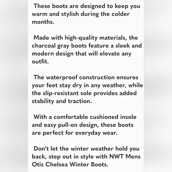 Goodfellow Mens Otis Chelsea Waterproof Winter Gray Boots