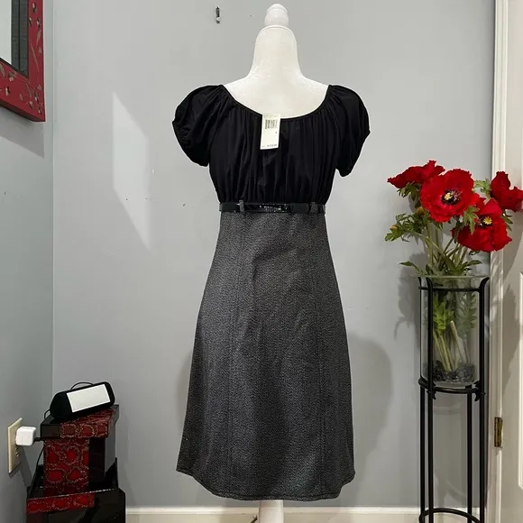 NEW Max Studio Tailored Smocked Ruched Empire Waist Belted Knee Suit Dress S NWT