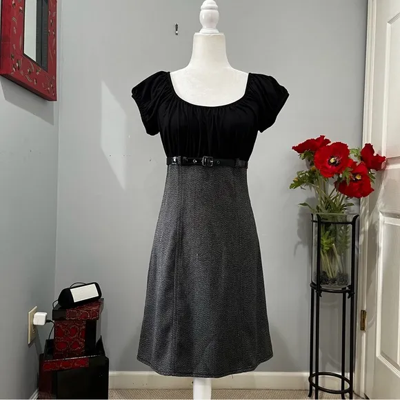 NEW Max Studio Tailored Smocked Ruched Empire Waist Belted Knee Suit Dress S NWT
