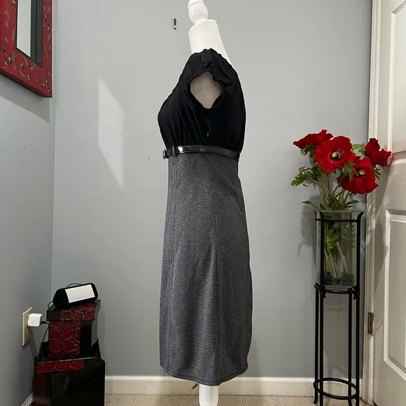 NEW Max Studio Tailored Smocked Ruched Empire Waist Belted Knee Suit Dress S NWT