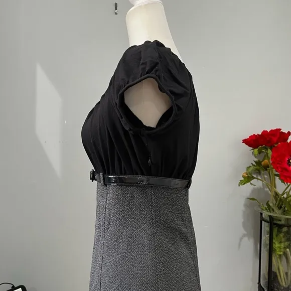 NEW Max Studio Tailored Smocked Ruched Empire Waist Belted Knee Suit Dress S NWT