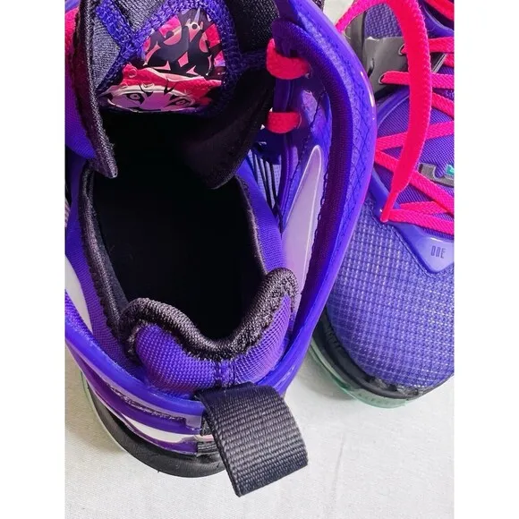 NEW Nike LeBron 19 DJ Bron Men's Size 10.5 US CZ0203-500 Wild Berry SNEAKERS
