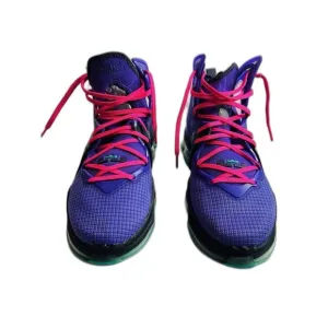 NEW Nike LeBron 19 DJ Bron Men's Size 10.5 US CZ0203-500 Wild Berry SNEAKERS