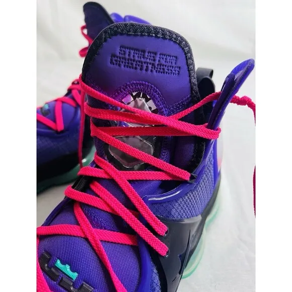 NEW Nike LeBron 19 DJ Bron Men's Size 10.5 US CZ0203-500 Wild Berry SNEAKERS