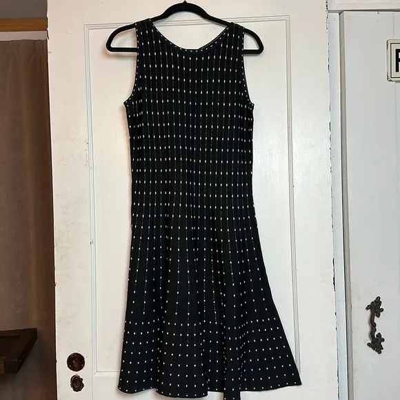 Nic   Zoe Fit and flare dress