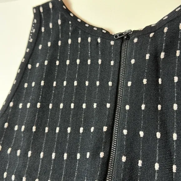 Nic   Zoe Fit and flare dress