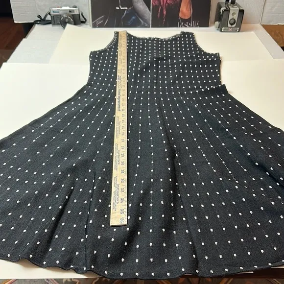 Nic   Zoe Fit and flare dress