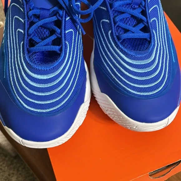 Nike GIANNIS IMMORTALITY 4 Blue / White Basketball Shoes
