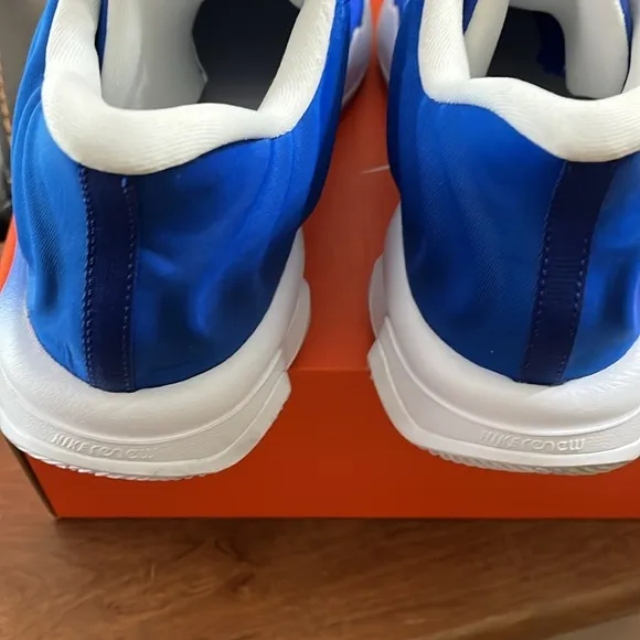 Nike GIANNIS IMMORTALITY 4 Blue / White Basketball Shoes