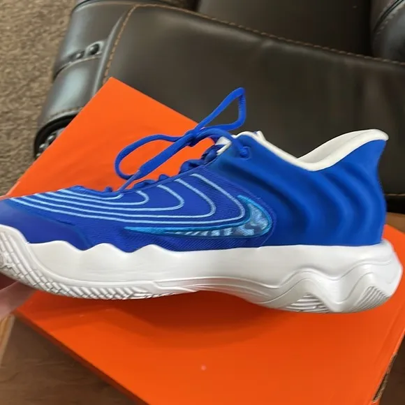 Nike GIANNIS IMMORTALITY 4 Blue / White Basketball Shoes