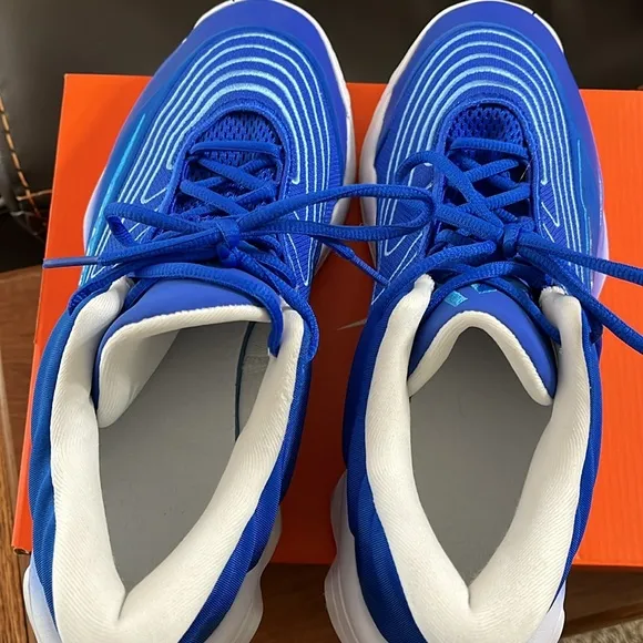 Nike GIANNIS IMMORTALITY 4 Blue / White Basketball Shoes
