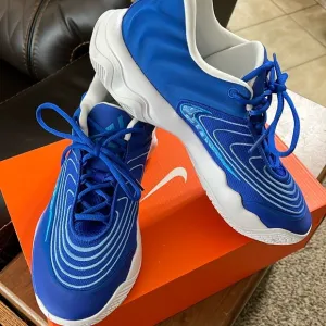 Nike GIANNIS IMMORTALITY 4 Blue / White Basketball Shoes