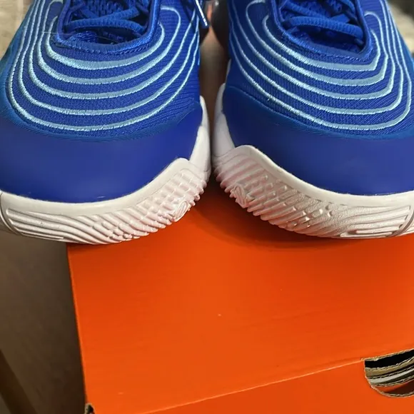 Nike GIANNIS IMMORTALITY 4 Blue / White Basketball Shoes