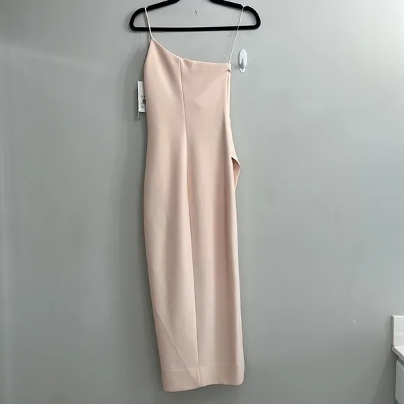 NWT Significant Other Brigitte One-shoulder Dress In Blush