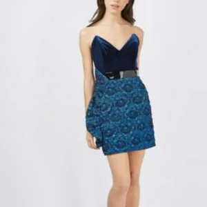NWT Topshop velvet metallic dress Junior size 4