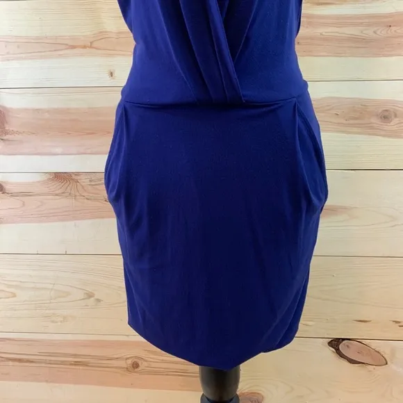 NWT tsesay spectrum slim fit blue minidress XS