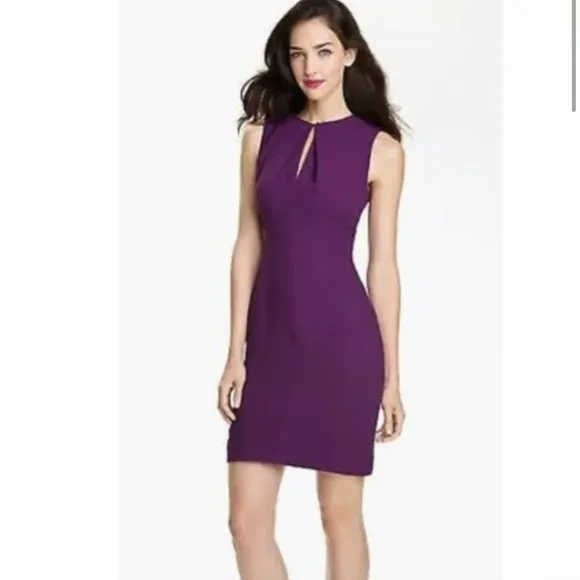 Rachel Roy Sleeveless Crepe Keyole Slim Fit Purple Dress Size 6