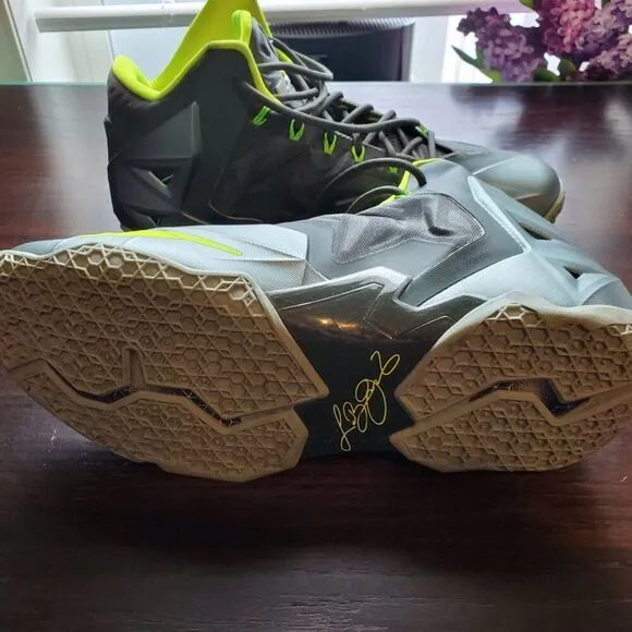 Rare NIKE LeBron James 11 Dunkman basketball shoes. Size 13