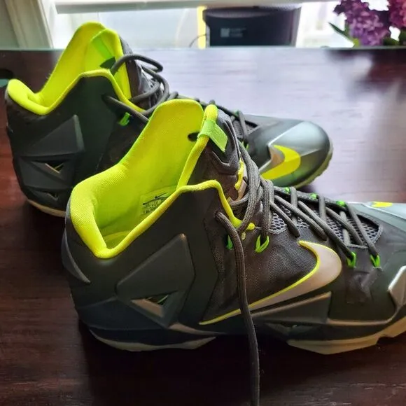 Rare NIKE LeBron James 11 Dunkman basketball shoes. Size 13