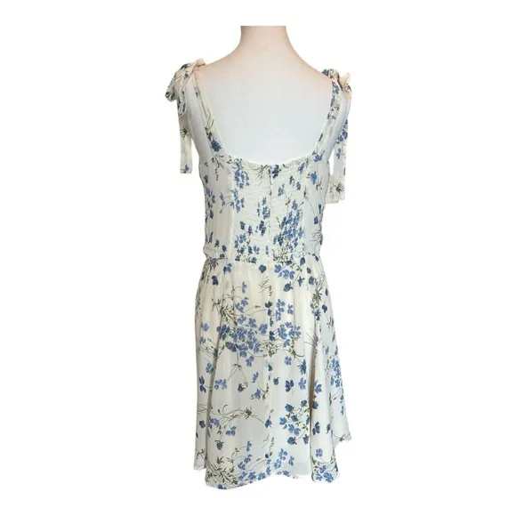 Reformation Niara Floral Print Mini Dress in Clarity 10 Romantic Ethereal