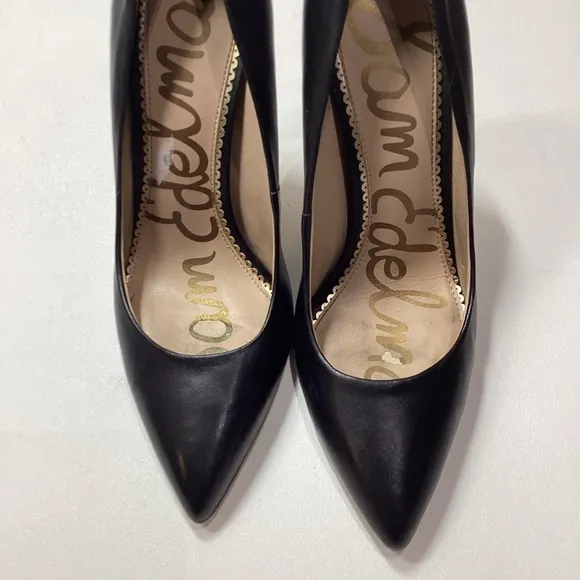 Sam Edelman Hazel Pointed Toe Stiletto Pump In Black