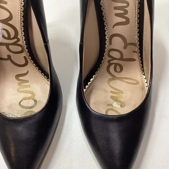 Sam Edelman Hazel Pointed Toe Stiletto Pump In Black