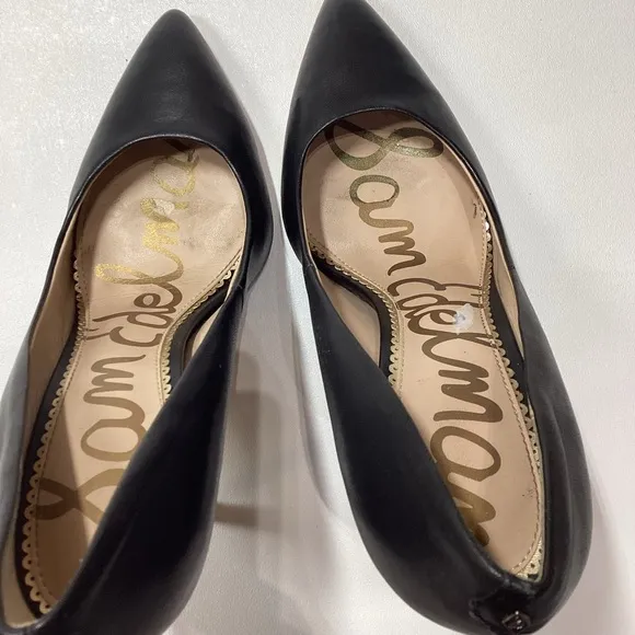 Sam Edelman Hazel Pointed Toe Stiletto Pump In Black