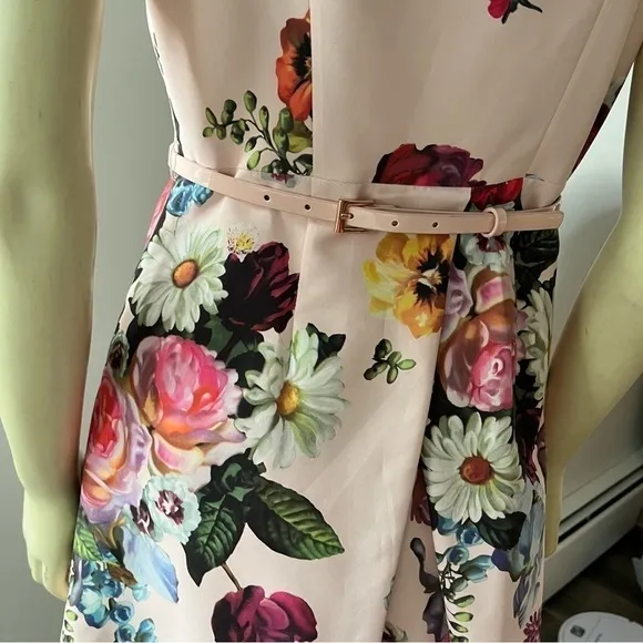Ted BAKER DEAVON WOMEN'S OIL PAINTING Floral Sleeveless Belted DRESS NUDE PINK 6