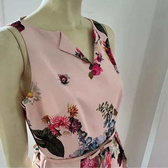Ted BAKER DEAVON WOMEN'S OIL PAINTING Floral Sleeveless Belted DRESS NUDE PINK 6