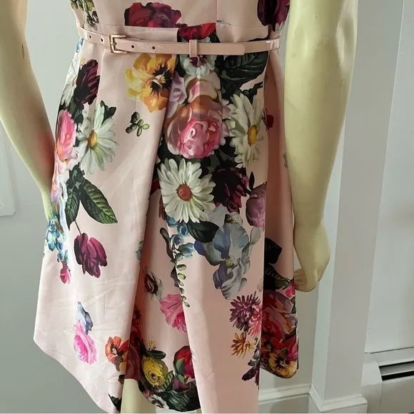 Ted BAKER DEAVON WOMEN'S OIL PAINTING Floral Sleeveless Belted DRESS NUDE PINK 6