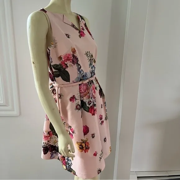 Ted BAKER DEAVON WOMEN'S OIL PAINTING Floral Sleeveless Belted DRESS NUDE PINK 6