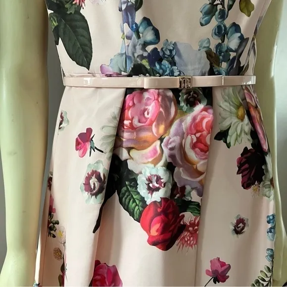 Ted BAKER DEAVON WOMEN'S OIL PAINTING Floral Sleeveless Belted DRESS NUDE PINK 6