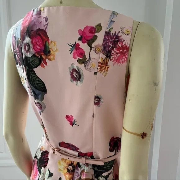 Ted BAKER DEAVON WOMEN'S OIL PAINTING Floral Sleeveless Belted DRESS NUDE PINK 6
