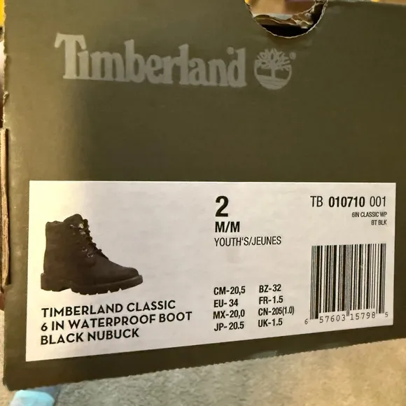 Timberland Boys 6” Waterproof Boots