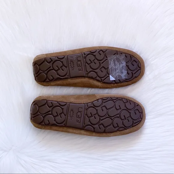 UGG Litney Chestnut Slipper For Outdoor/Indoor Use