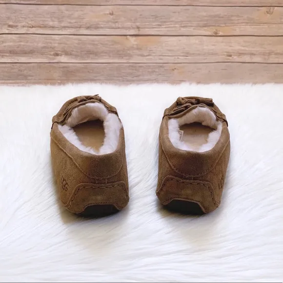 UGG Litney Chestnut Slipper For Outdoor/Indoor Use
