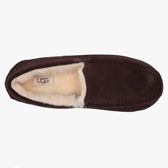 UGG mens  Ascot suede shearling slippers Espresso sz 8