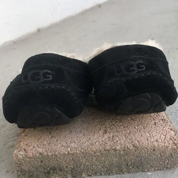 Uggs Ascot slippers