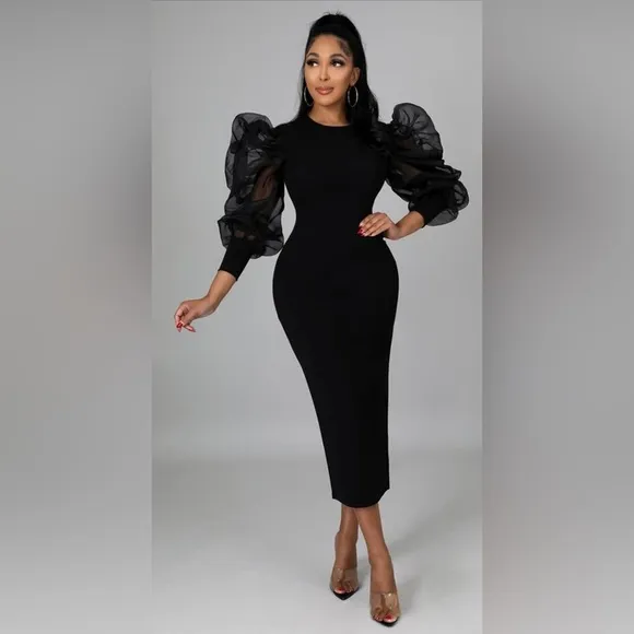 Women's Sexy Mesh Ruffle Long Sleeve Bodycon Dress Round Neck Slim Fit